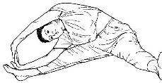 wpcc033dde.png